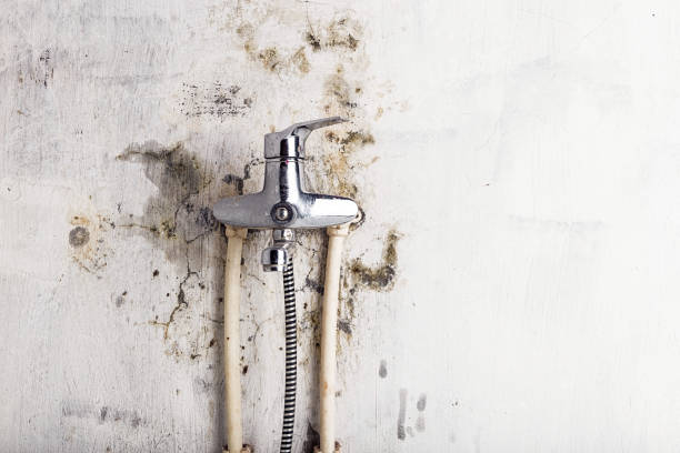 Office Mold Removal Services in Old Tappan, NJ