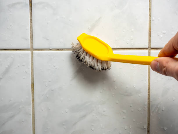 Best Residential Mold Removal  in Old Tappan, NJ