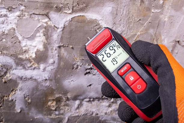Best Mold Removal Company Near Me  in Old Tappan, NJ